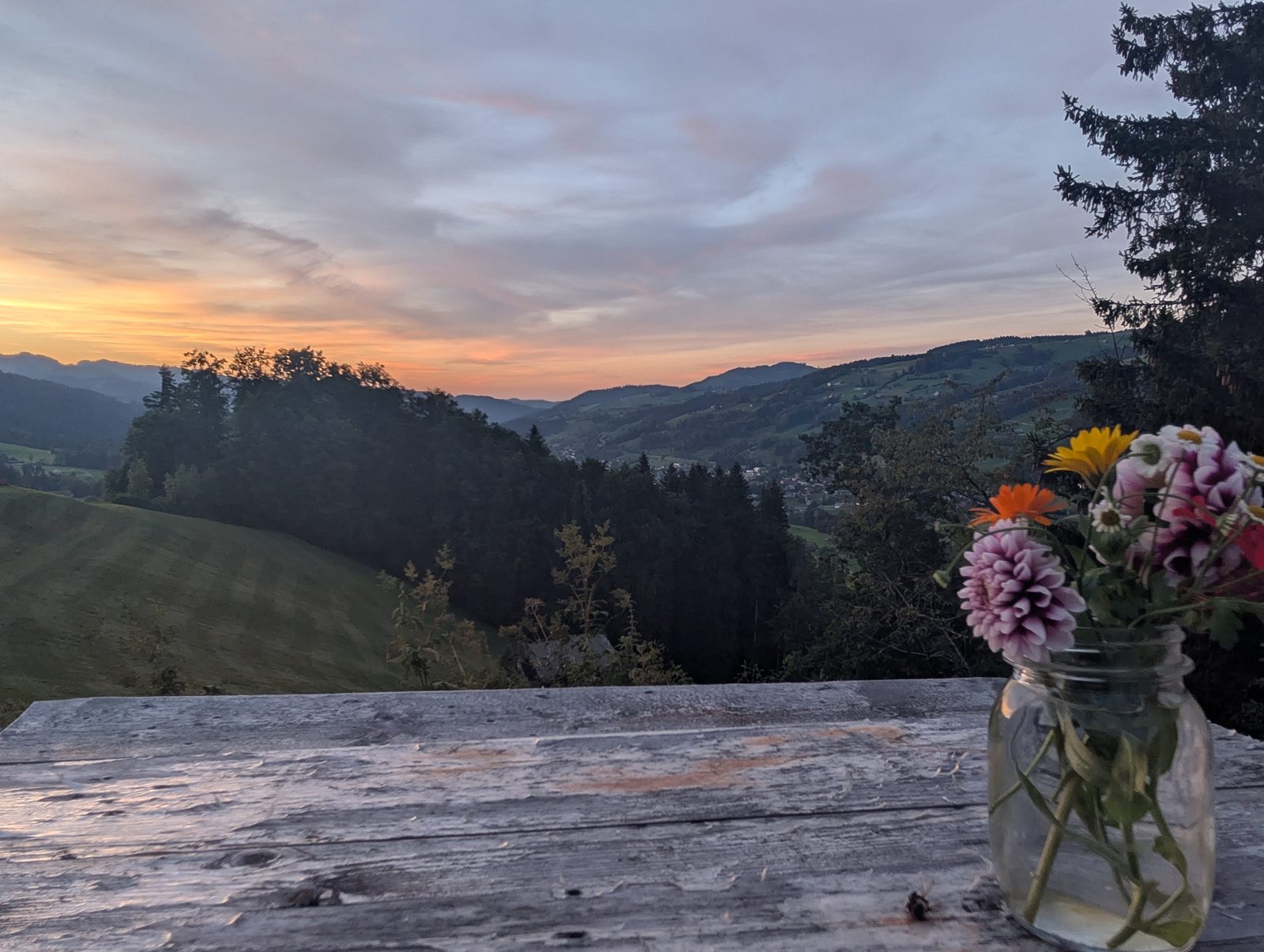 Vista PlaceToBee Svizzera