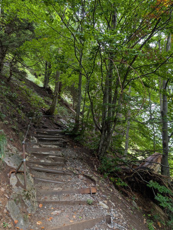 Chemin de la randonnée Schäfler