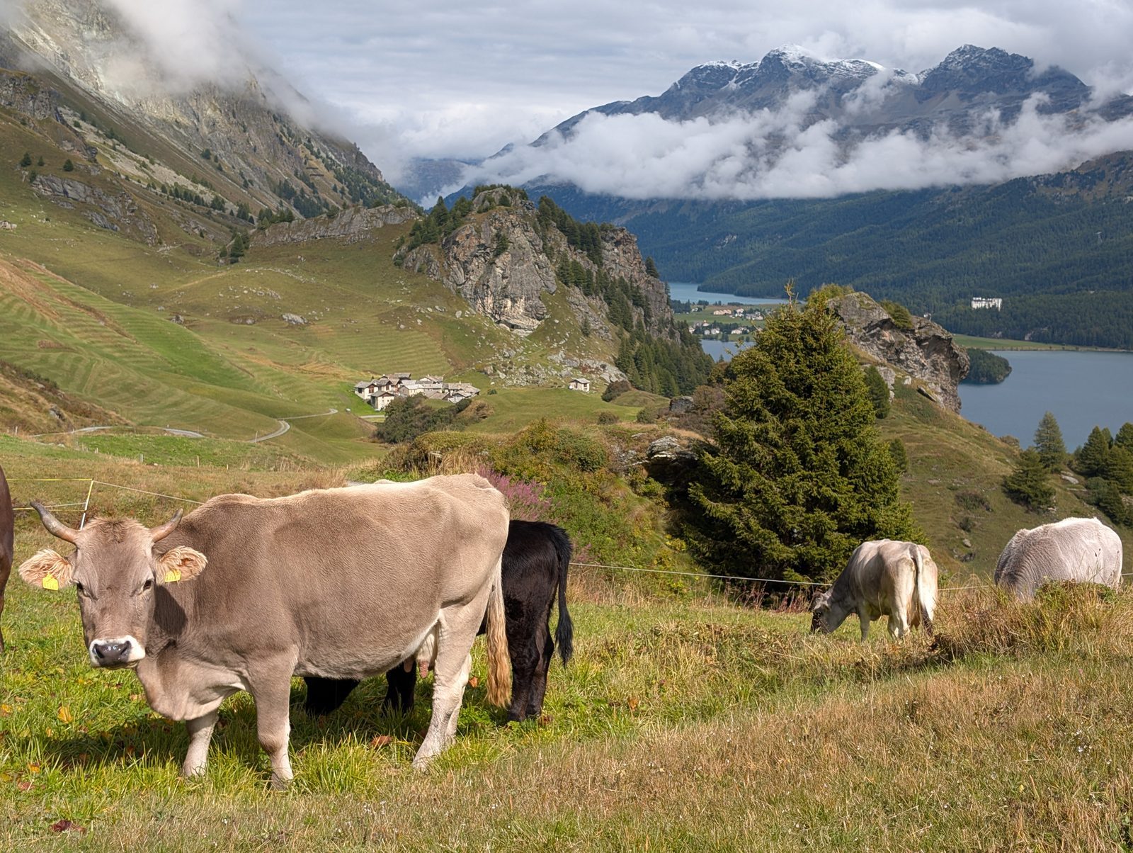Village Suisse